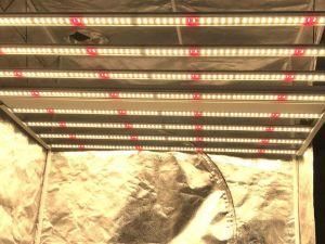 Lm301h Full Spectrum LED Grow Light 670W for Indoor Plant Growing