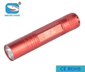 China Xi Dian 3W LED Bulb Flashlight Super Mini Torch