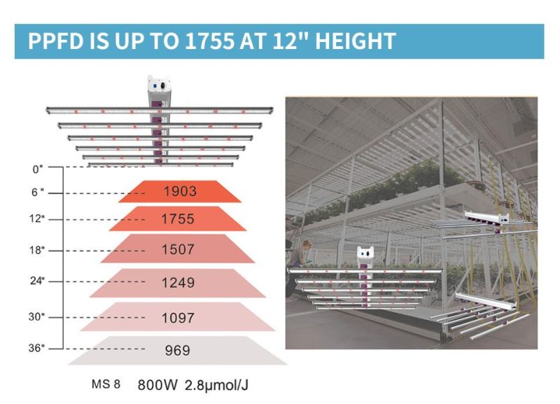 760W High Efficacy Full Spectrum LED Grow Lights for Vertical Farming