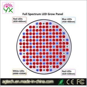 Vertical Farming LED Grow Light Full Spectrum 50W Panel LED Grow Lights