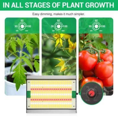 Full Spectrum 120 Watt Samsung Lm301b Lm301d Qb Board 120W 240W LED Grow Light for Indoor Plant