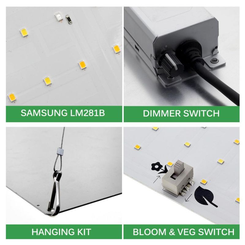 Bonfire 100W LED Growth Lighting with UL Certification 3 Years Warranty