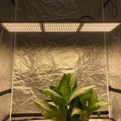 New 320W Qb288 Sam-Sung-Best Lm301h LED Grow Lamp Full Spectrum Indoor Plants Grow Lights