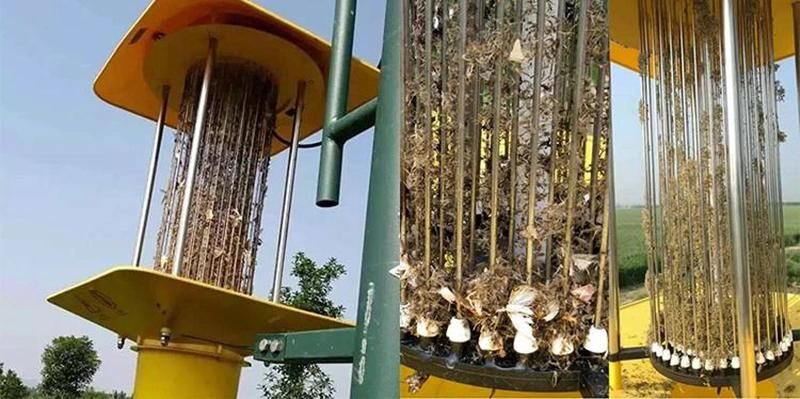 Factory Price Solar Mosquito Killer Lamp Organic Pest Control Plants Insecticidal Solar Mosquito Killer Lamp Insecticidal Light