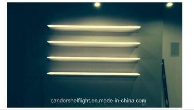 3000-6500K LED Cabinet Light with 130 Degree Lighting Angle