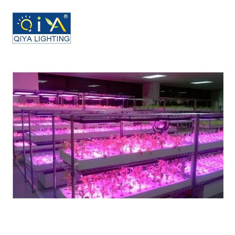 100W Full Spectrum LED Grow Light