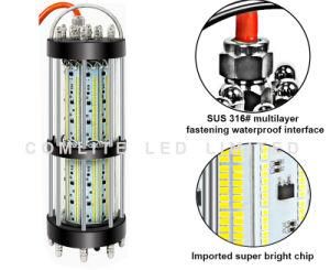 Factory Price 12V 1000W Carpfish Squid Attract Bait LED Fishing Light