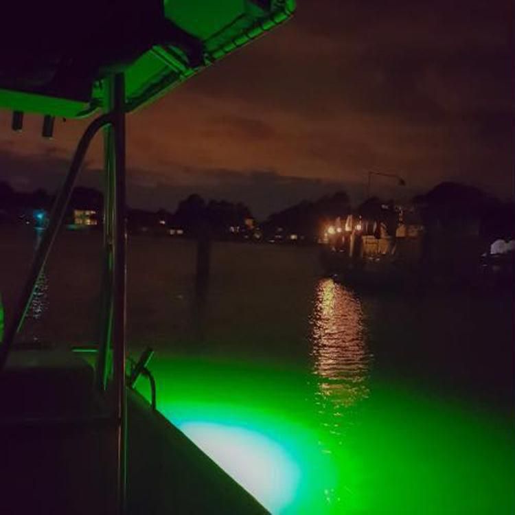 DC12V IP68 100W Green Color Boat Night LED Underwater Fishing Bait Light