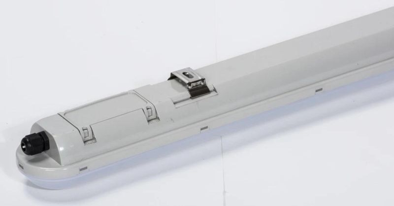 Eco Competitive LED Waterproof Vaporproof Dustproof Lighting Fixture IP65 Ik08 Ce SAA