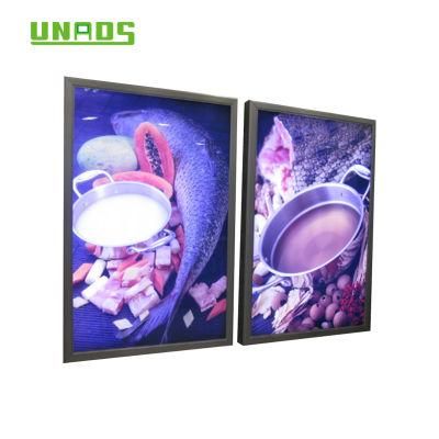 Indoor Beauty Shops Store Club Media Advertising Hot Sale Ultra Slim Snap Frame LED Light Box