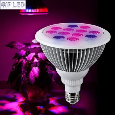 Best Quality 12W LED Grow Light Made in China Shenzhen Factory