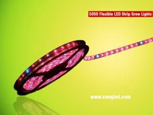 Hydro Dipping IP67 SMD 5050 Flexible LED Strip Light 660nm 460nm for Vegetative Propagation