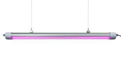 LED Grow Light 160lm/W Competitive Pink Spectrum 50W Best High Efficacy Grow Lights LED Grow Lights for Growing