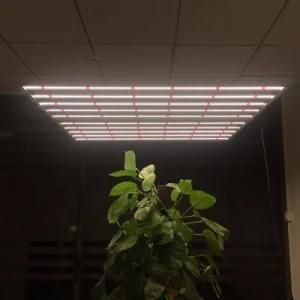 2.8umol/J 6500K+660nm 640W Highest Efficacy Dimmable Full Spectrum LED Grow Light