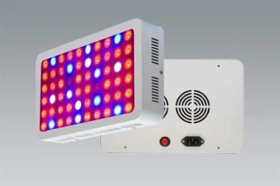 High Power 400W 800W 1000W LED Grow Light with ETL