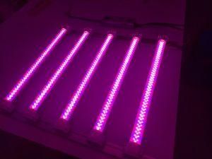 Top Selling Luxint 600W 660W 720W LED Grow Light Bar Plant Lighting for Medical Farm, Greenhouse
