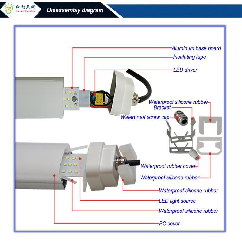 Anti-Corrosion Dust-Proof Coastal Area Basement Workshop Weatherproof Light