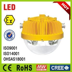 Anti Explosion LED Floodlights