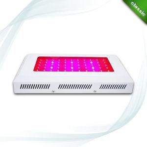 165W 55PCS*3W UFO LED Grow Light (KJ-G55*3W)