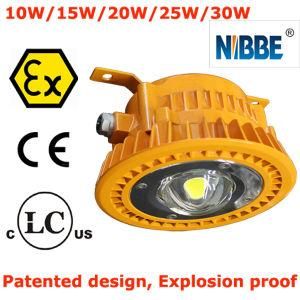 10W-60W Atex Industrial LED Dock Light