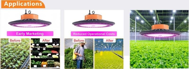 250W LED Horticultural Light for Indoor Greenhouse LED Grow Light Full Spectrum Grow Lamp