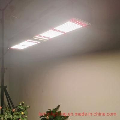 Wholesale 320W LED Grow Light for Medical Herbs and Flowers