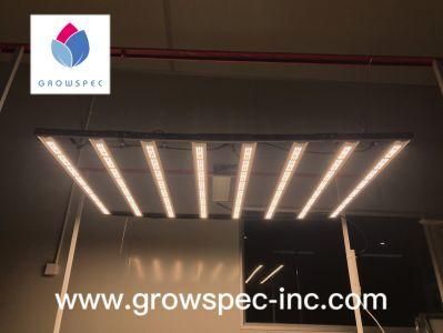 650W 1000W Fast Heat Dissipation LED Grow Light Full Spectrum Aeropoinc System