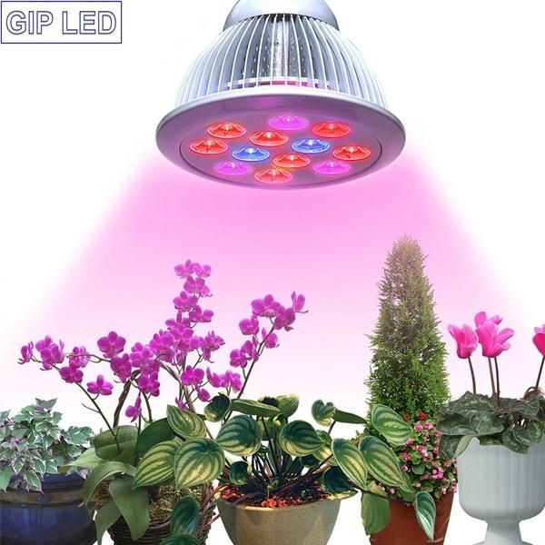 High Efficient Grow Lights for Garden Greenhouse Hydroponic Aquatic, 24W