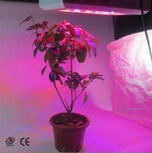 120W Grow LED Light, Replace 400W HPS Saving Your Electric Bill
