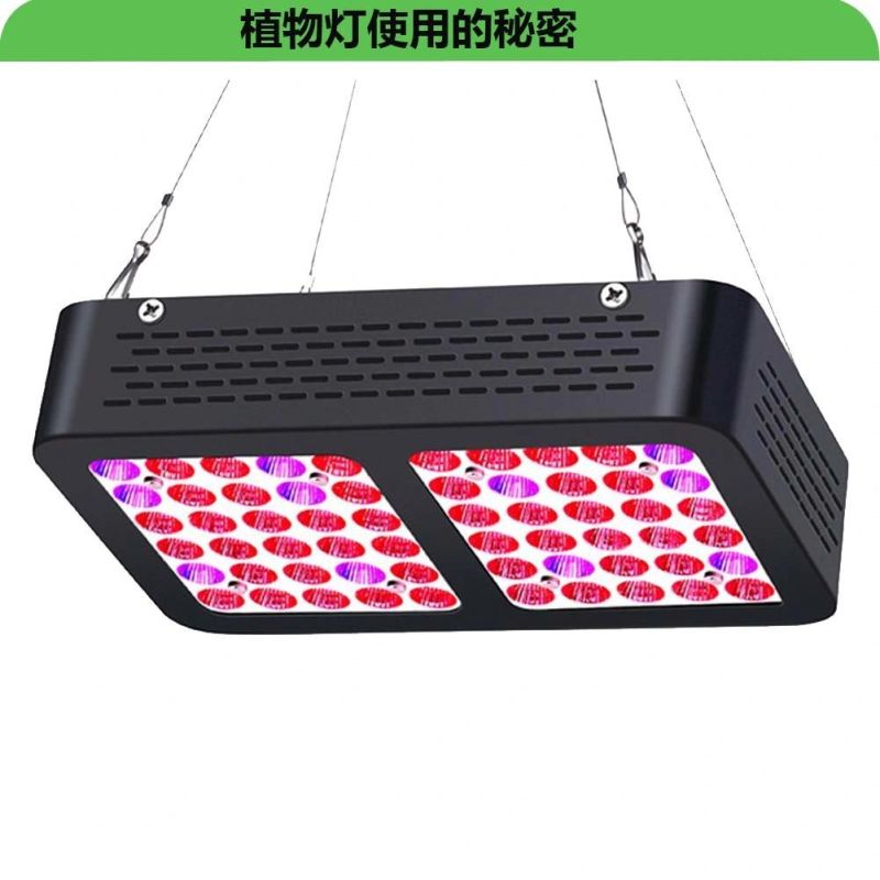 Lowest Factory 600W LED Plant Grow Light for Houseplants Flowering and Fruiting