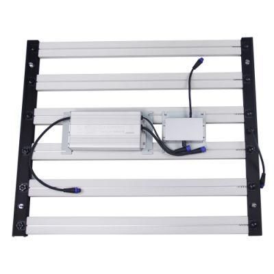 2021 Newest Dismountable LED Grow Light for Greenhouse