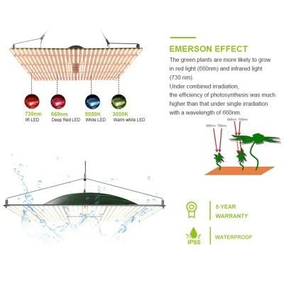 Indoor Wholesale Samsung Horticultural Bar Lighting Full Spectrum LED Grow Light Pvisung LED Light