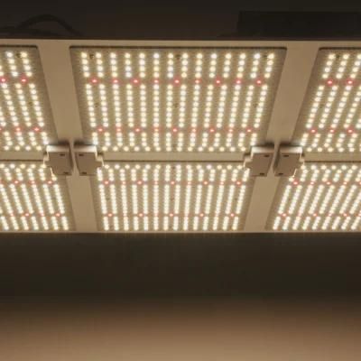 Amazon Best Sell Quantum Board Commercial Indoor Farming Plant Panel Lights Lm301b Full Spectrum LED Grow Light