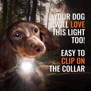 Wholesale Reflective Hands Free Jogging Bungee Dog Running LED Running Light for Dog Walking
