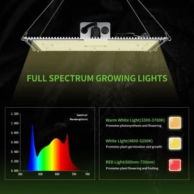 New Product 100W IR LED Grow Light Hydroponic for Wholesale
