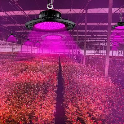 1-10V Dimmable Full Spectrum Growing Light 300watt UFO LED Growth Light