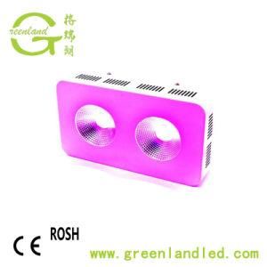 Wholesale Full Spectrum Powerful Hydroponic COB LED Grow Light Manufacturer