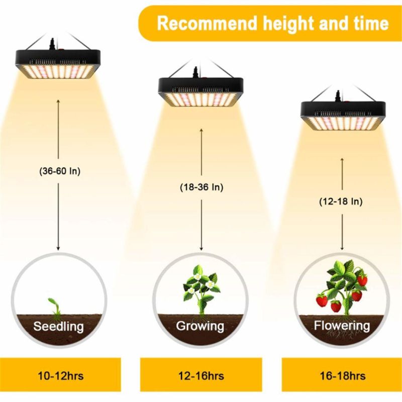 Big Power Quantum Version of Silent Plant Growth LED Grow Lamp