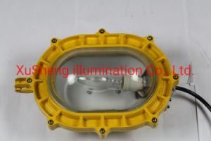 Wholesale IP65 Hazardous Location Lighting 100W Explosion Proof Light