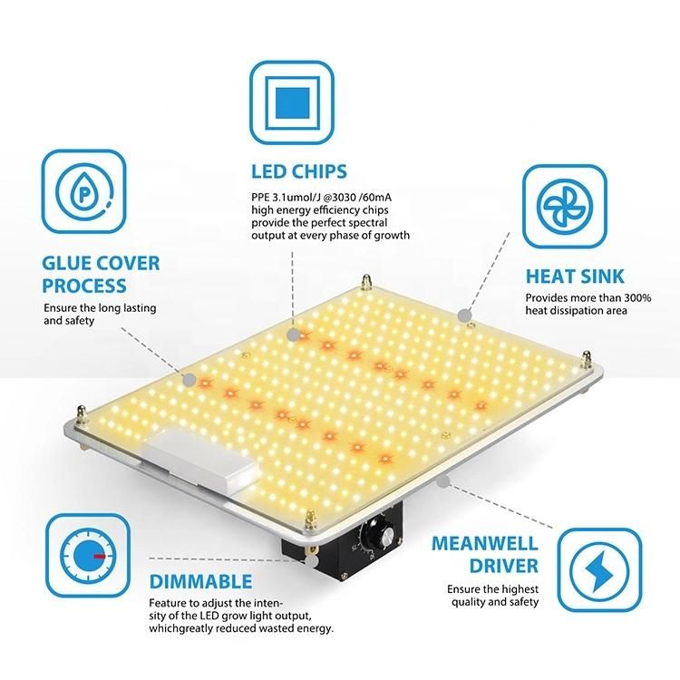 480W Samsung Diodes Knob Dimming 480 Watt Qb LED Grow Tent Light with 3-Year Warranty