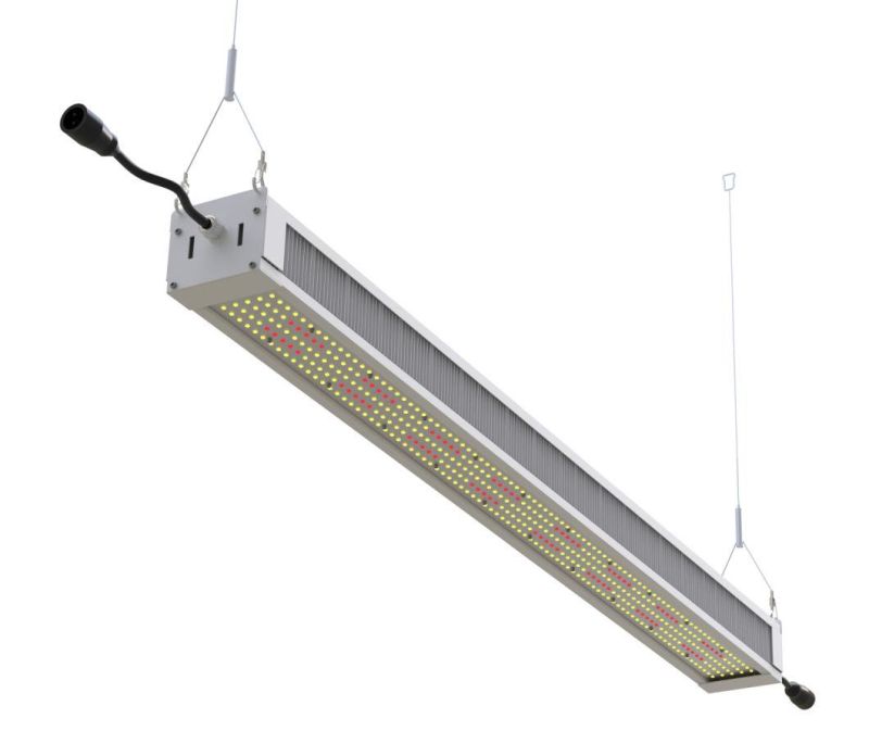 Commercial Greenhouse 400W/600W/800W/1000W Full Spectrum High Ppfd Levels Hydro LED Grow Light for Indoor Medical Plants