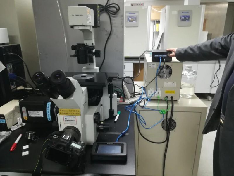 LED Light for Optical Microscope