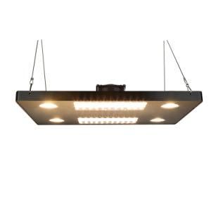 Wholesale New Quamtum Board 600W Grow Light Lumens LED COB Growing Lights for Indoor Plants Growth