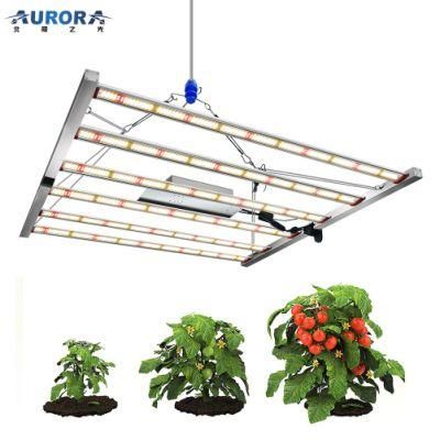 Aurora 500W 600W Wholesale Panel Vegetable Plants LED Growing Light