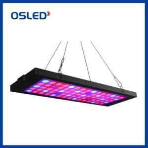 Full Spectrum High Yield LED Grow Light 10W Actual LED Power High Efficiency LED Plant Grow Light
