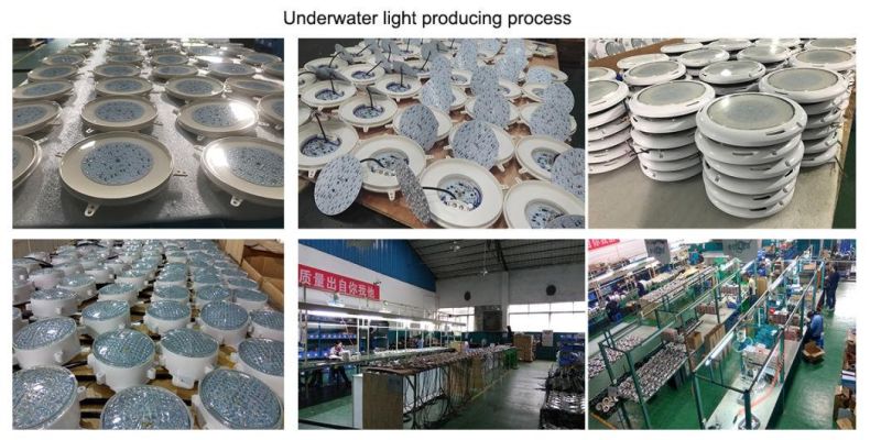 6W IP68 LED Swimming Pool Lamp