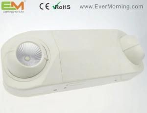China Ni-CD Battery 6W LED Emergency Light