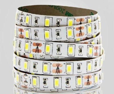 Made in China with Factory Price LED Lighting Strip Decoration Indoor
