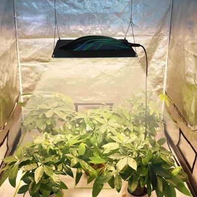 Adjustable Indoor 320W Lm301b LED Grow Light Plant Lm301h Sam5ung Photon Full Spectrum Grow Light LED