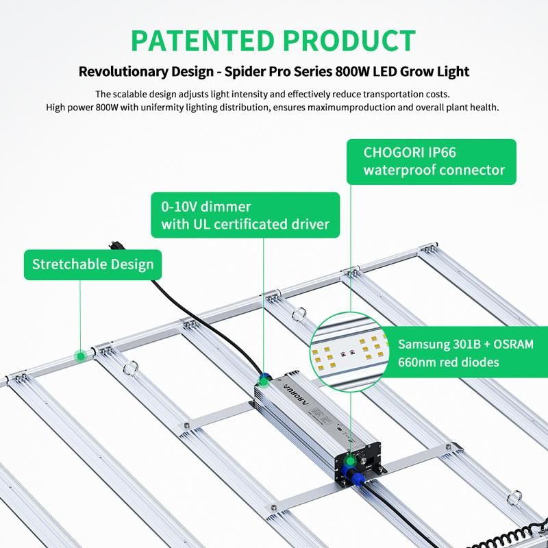 Hydroponic Vertical Farming Commercial 800W LED Grow Lights